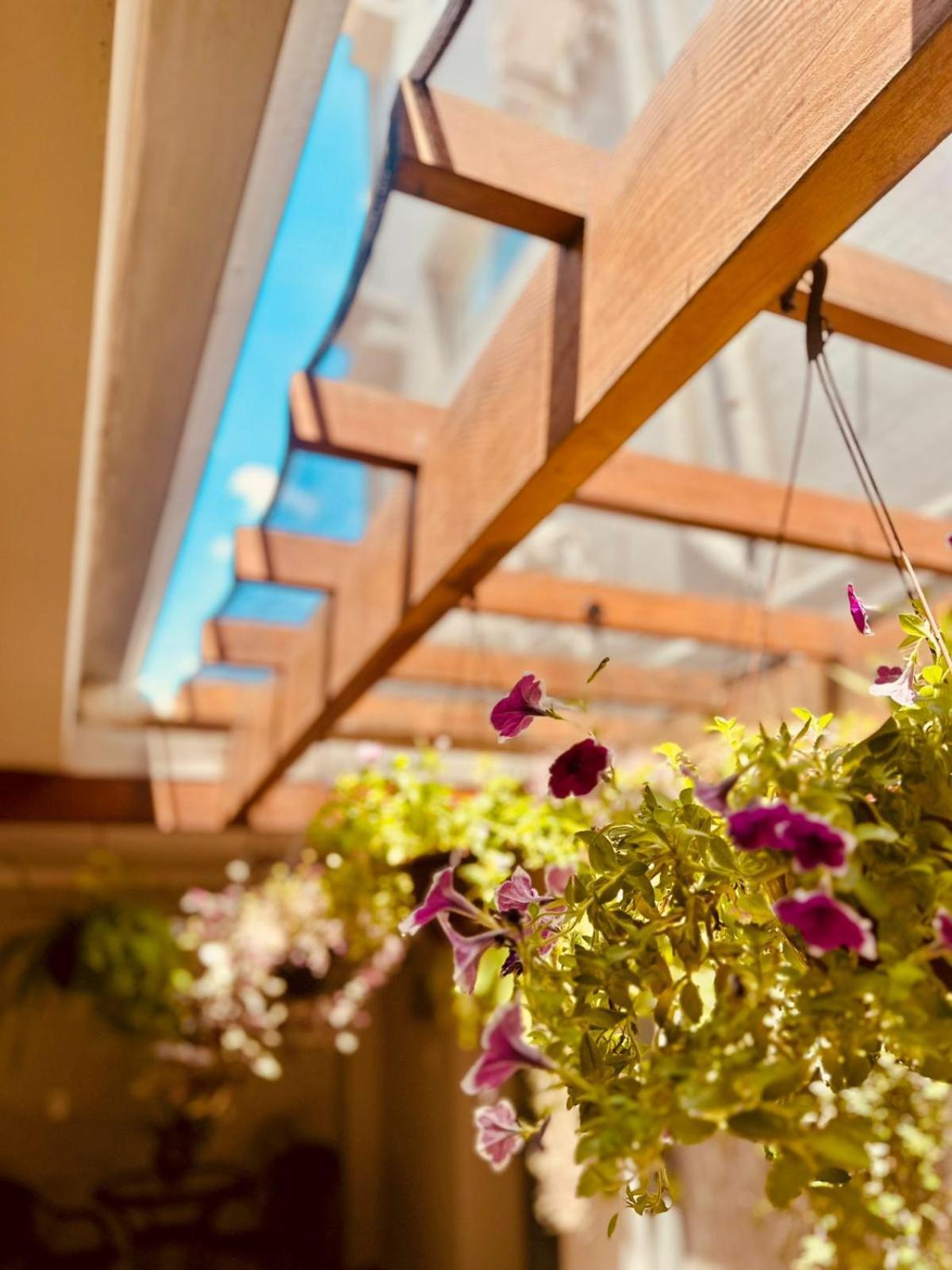 Skalla Hotel Нова Одеса Екстериор снимка